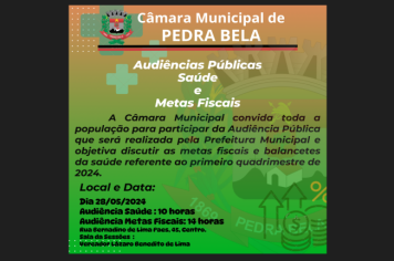 Audiências Públicas