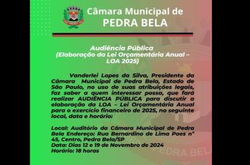 Audiência Pública LOA 2025